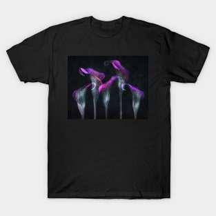 Five Three Calla Lilies black background T-Shirt